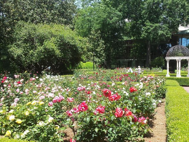 Photo of Furman University