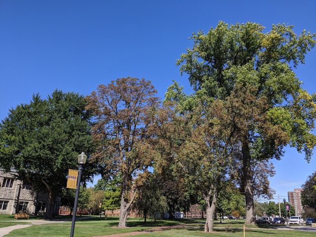 Photo of Knox College