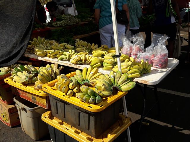 Photo of Kauai Community College