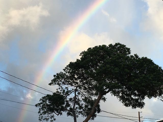 Photo of Kapiolani Community College
