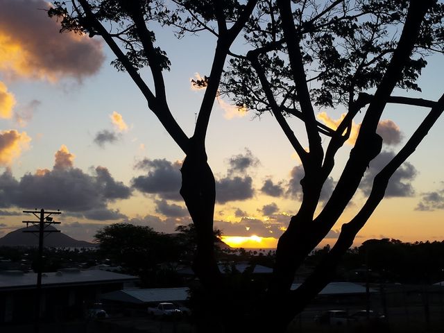 Photo of Kapiolani Community College