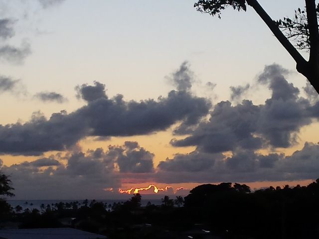 Photo of Kapiolani Community College