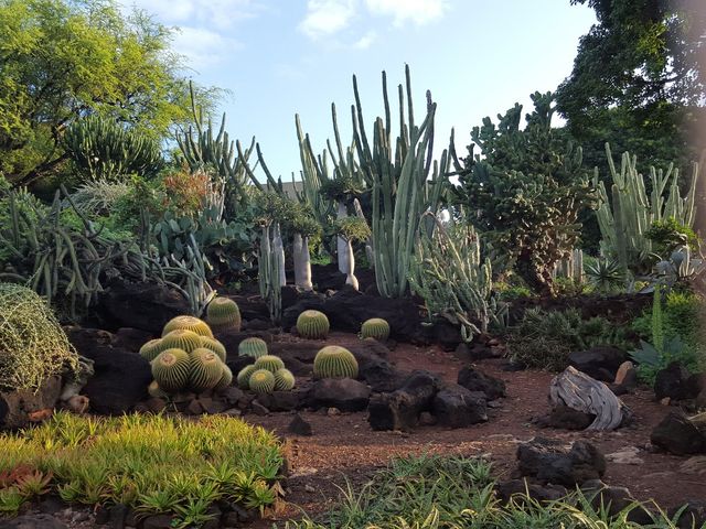 Photo of Kapiolani Community College