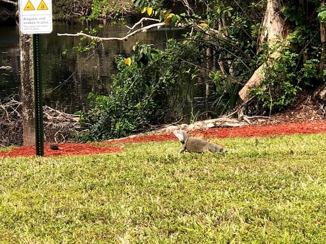 Photo of Keiser University - Residential