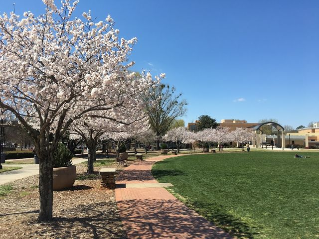 Photo of Kennesaw State University