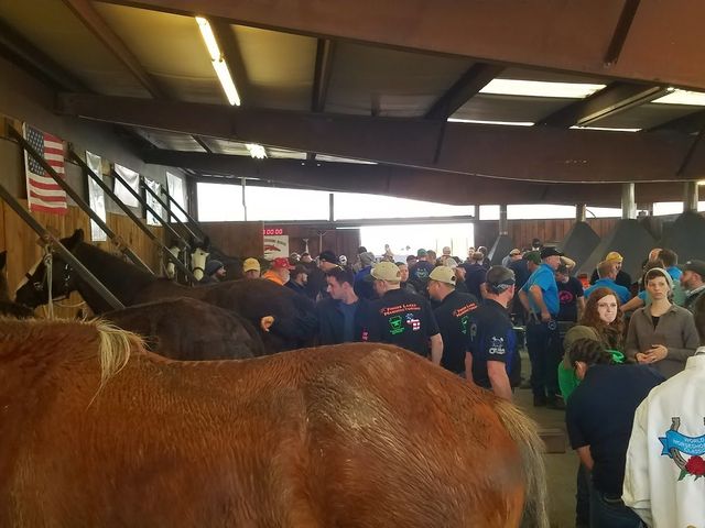 Photo of Kentucky Horseshoeing School