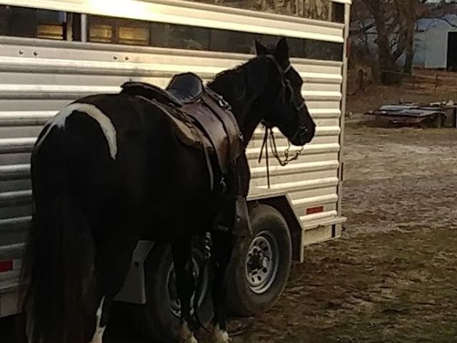 Photo of Kentucky Horseshoeing School