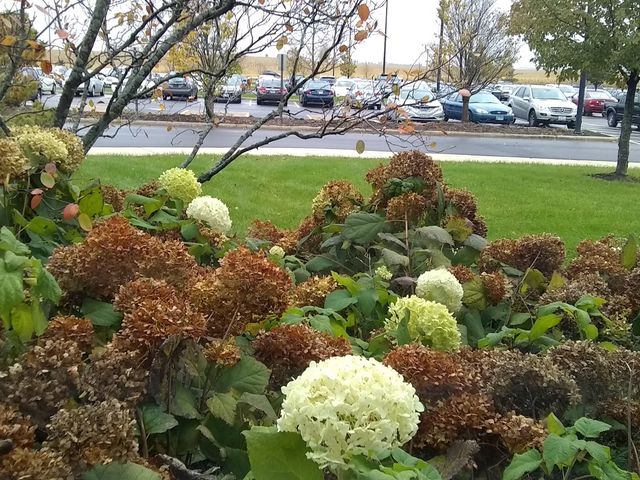 Photo of Kishwaukee College