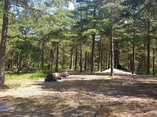 Photo of Klosterheden Skovlegeplads