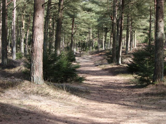 Photo of Klosterheden Skovlegeplads
