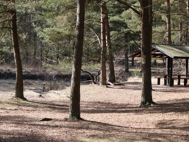 Photo of Klosterheden Skovlegeplads