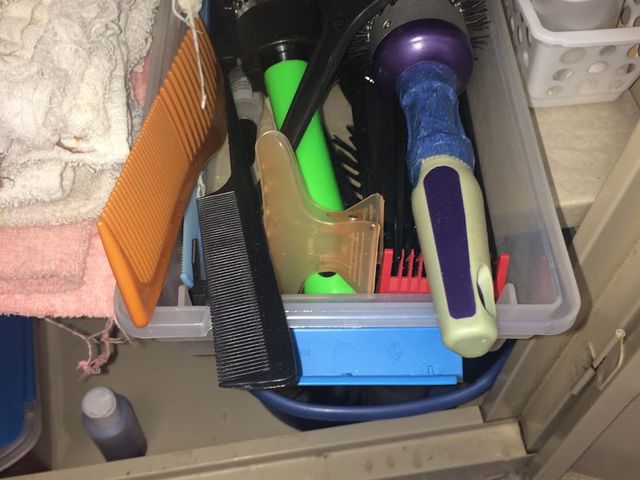 Photo of Houston Training School-Gulfgate