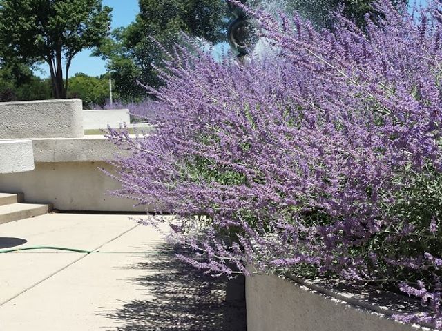 Photo of Hobart Institute of Welding Technology