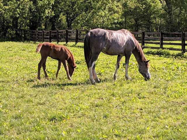 Photo of Hocking College