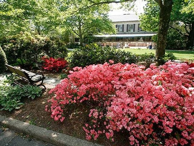 Photo of Hofstra University