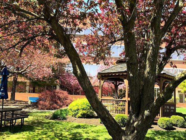 Photo of Holy Family University