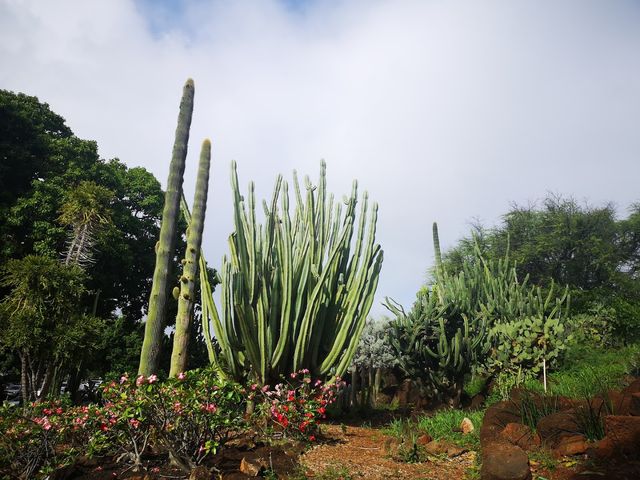 Photo of Honolulu Community College