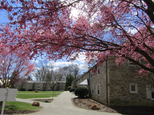Photo of Haverford College