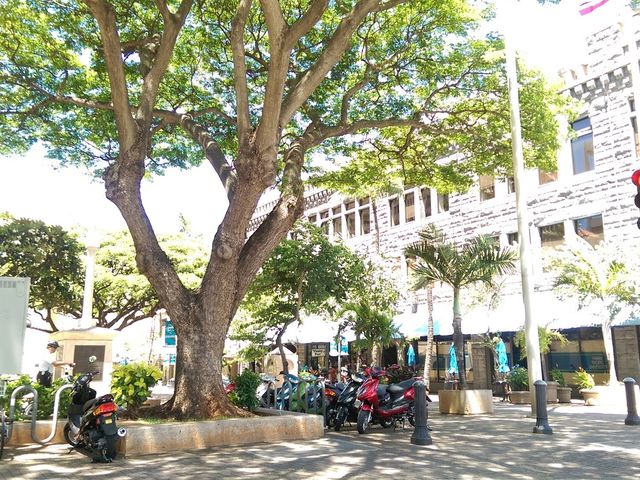 Photo of Hawaii Pacific University