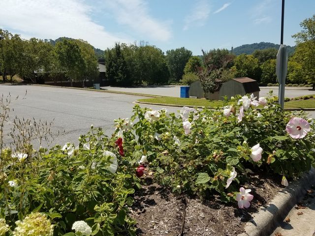 Photo of Haywood Community College