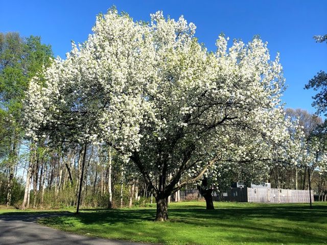 Photo of Hampshire College