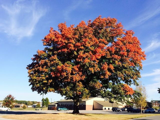 Photo of Hannibal-LaGrange University