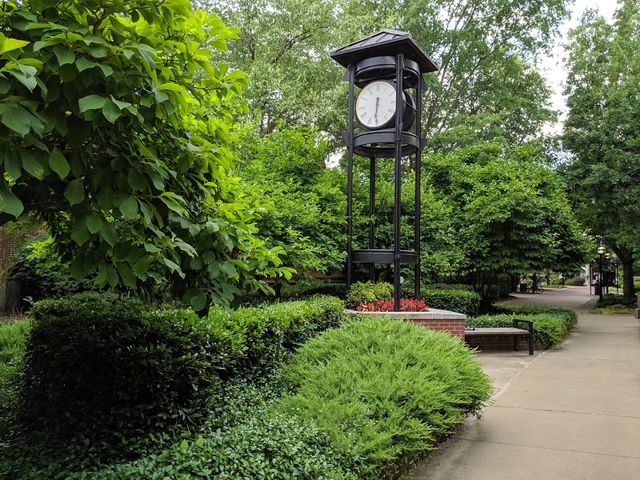 Photo of Harding University
