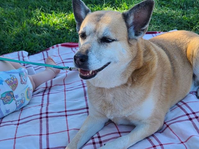 Photo of Harmony Park