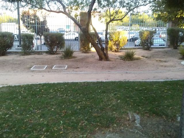 Photo of Harmony Park