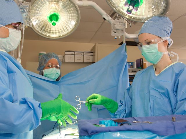 Photo of Harris School of Business-Dover Campus