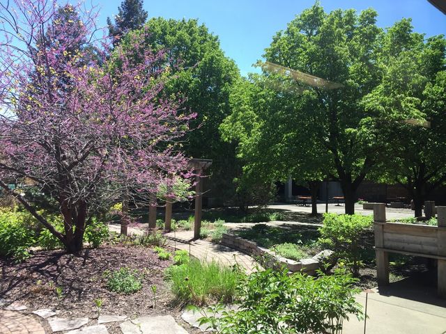 Photo of Hennepin Technical College