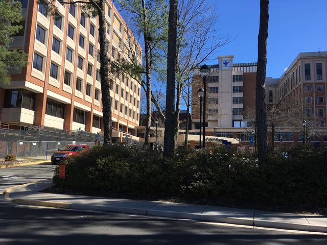 Photo of Henrico County-Saint Marys Hospital School of Practical Nursing