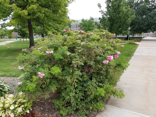 Photo of Henry Ford College