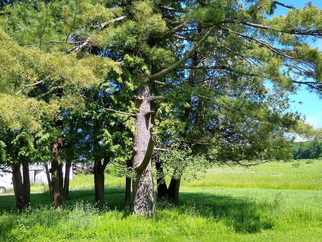 Photo of Herkimer County Community College