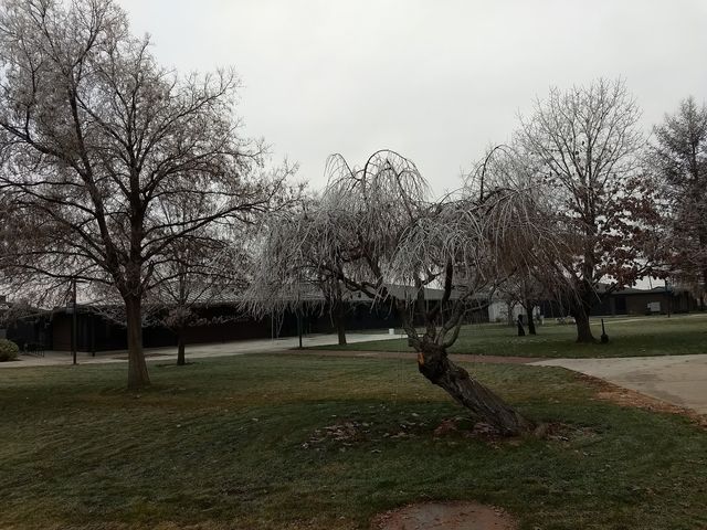 Photo of Heritage University