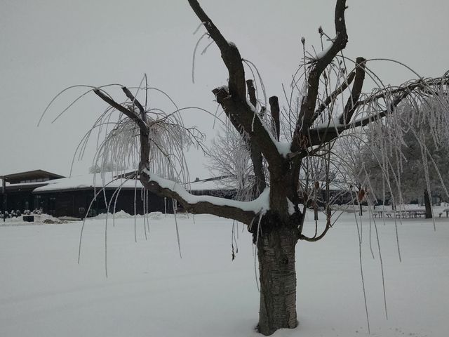 Photo of Heritage University