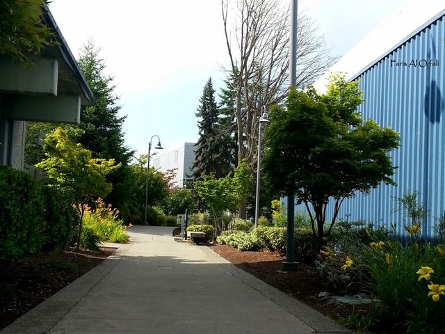 Photo of Highline College