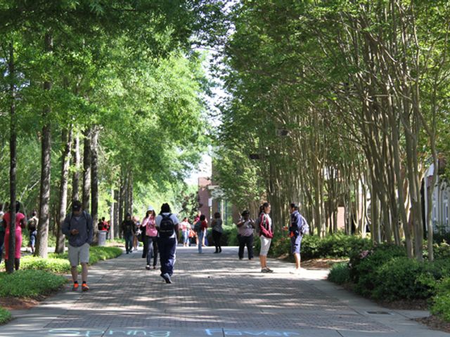 Photo of Hinds Community College