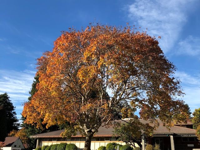Photo of Humboldt State University