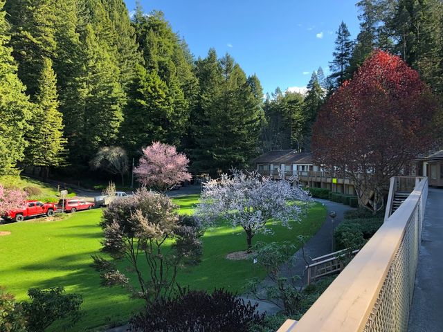 Photo of Humboldt State University