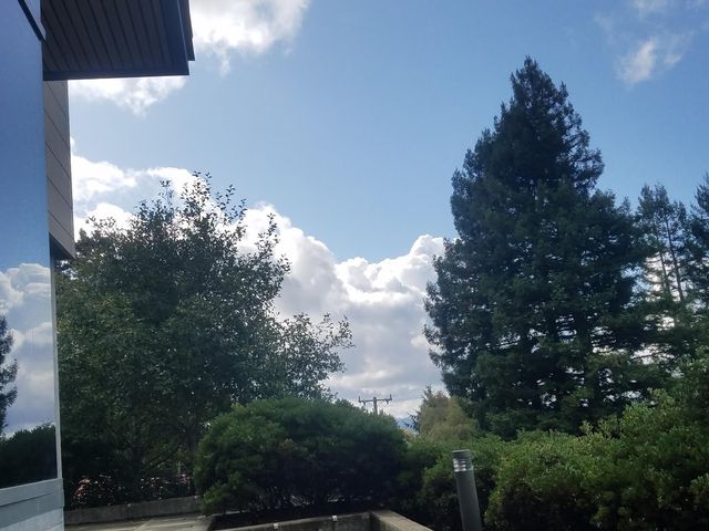 Photo of Humboldt State University