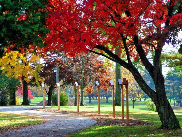 Photo of Immaculata University