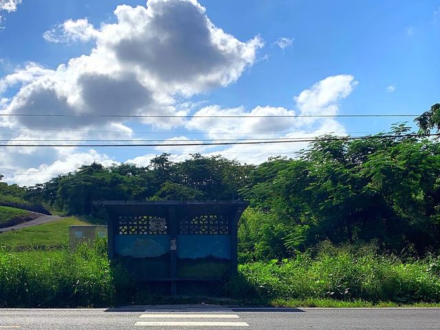 Photo of Inter American University of Puerto Rico-Aguadilla