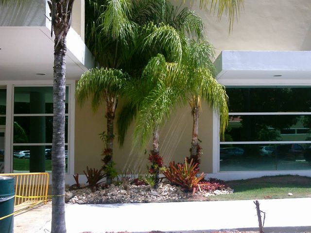 Photo of Inter American University of Puerto Rico-Fajardo