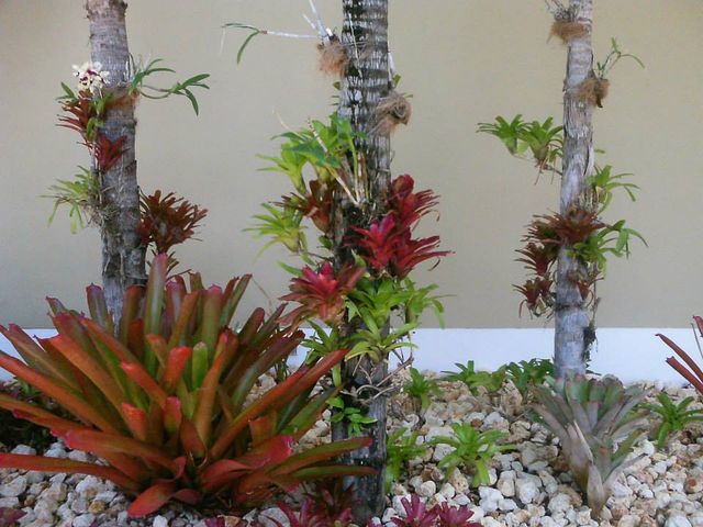 Photo of Inter American University of Puerto Rico-Fajardo