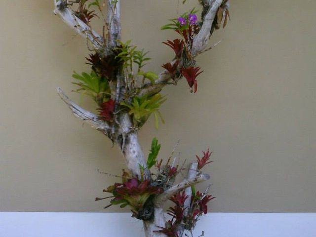 Photo of Inter American University of Puerto Rico-Fajardo