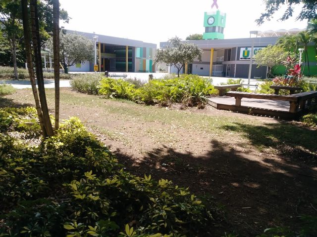 Photo of Inter American University of Puerto Rico-Ponce