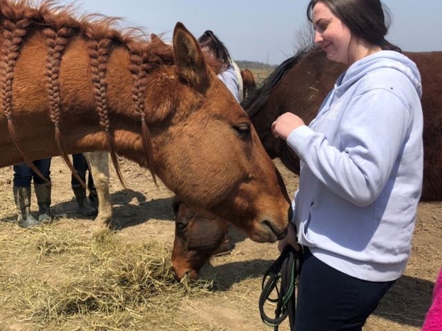 Photo of International Business College-Indianapolis
