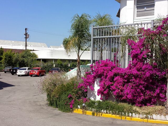 Photo of International College of Beauty Arts & Sciences