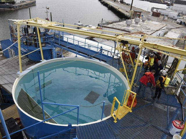 Photo of International Diving Institute